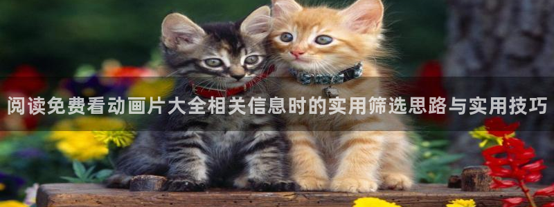 动漫h在线看:阅读免费看动画片大全相关信息时的实用筛选思路与实用技巧