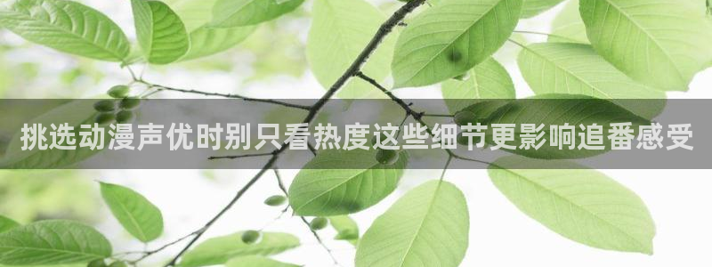 漫岛动漫