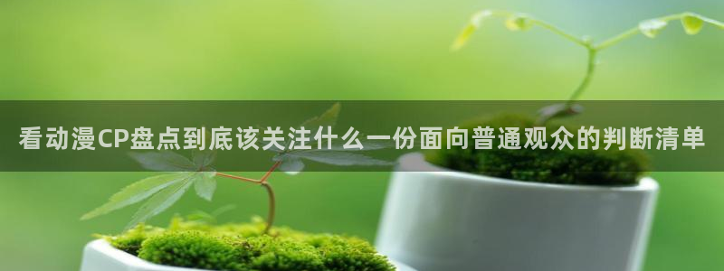 动漫之家官网:看动漫CP盘点到底该关注什么一份面向普通观众的判断清单